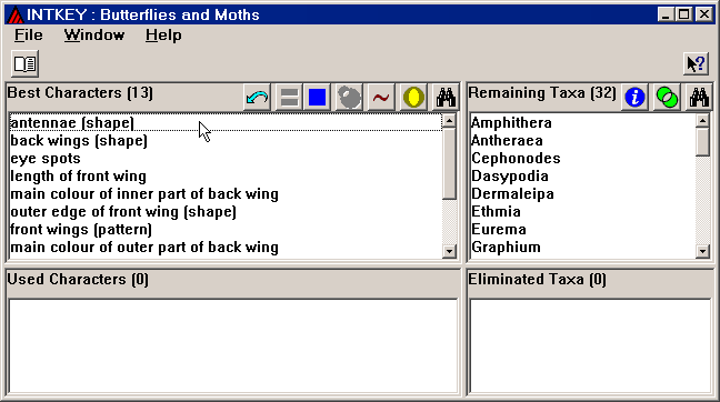 Intkey window at start of identification