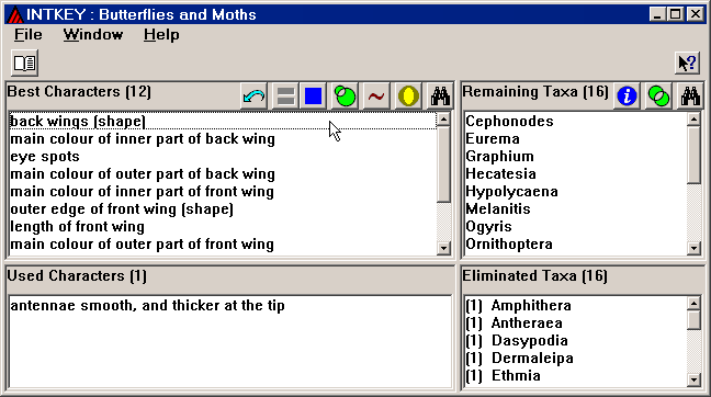 Intkey window after using 1 character