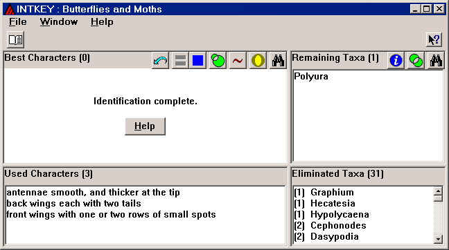 Intkey window at end of identification