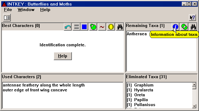 Intkey window with a deliberate error