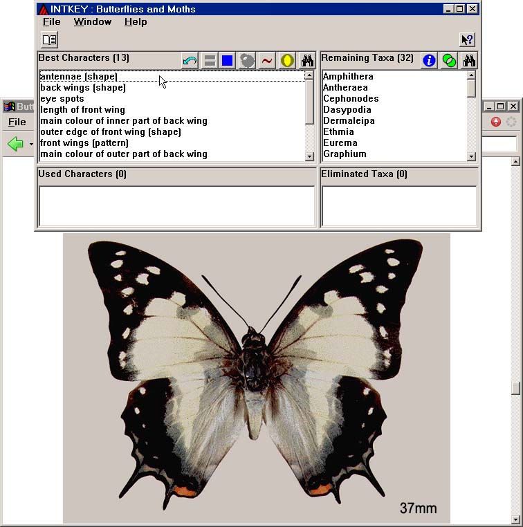 Intkey window and browser window