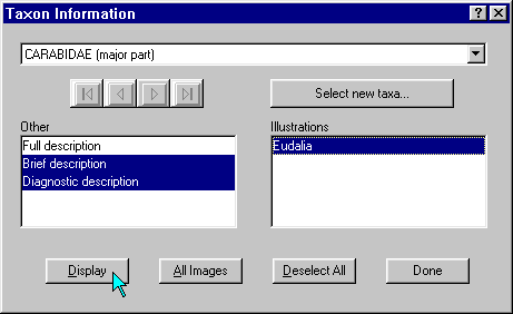 id10 - 'Taxon Information' dialog