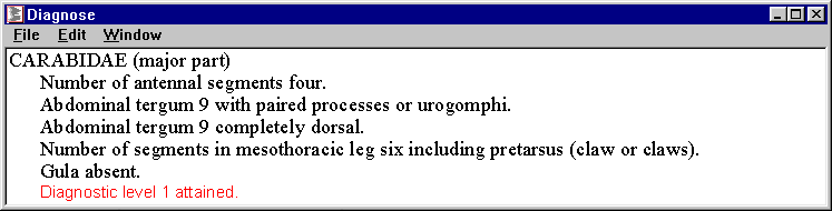 id13 - diagnostic description: 'CARABIDAE (major part)'