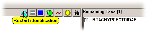 id27 - 'Restart identification' button
