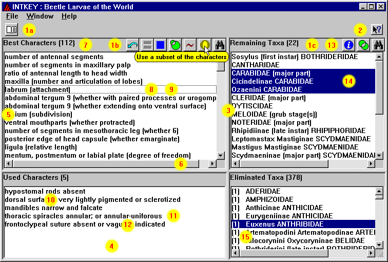 Intkey main screen